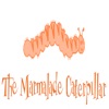 Marmalade Caterpillar