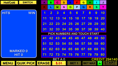 Keno 20 Card screenshot 2