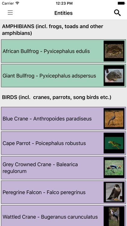 IDentifyIt Species