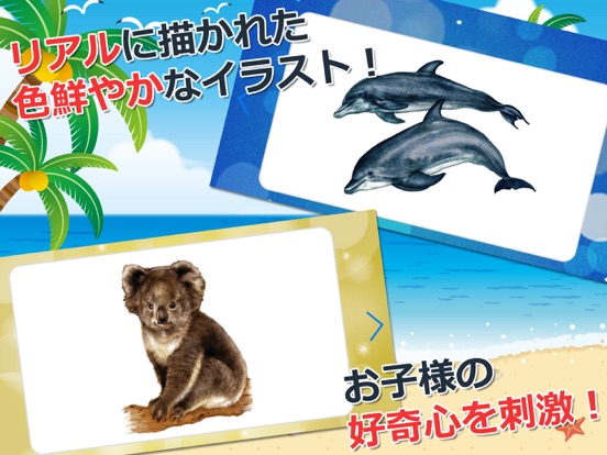 Telecharger みんなの生き物カード図鑑 Pour Iphone Ipad Sur L App Store Education