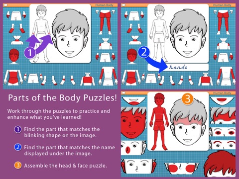 Human Body -Montessori Anatomy screenshot 3