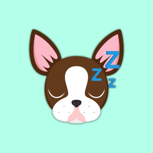 Chocolate Boston Terrier icon