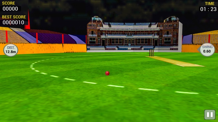 Cricket Run Out 3D