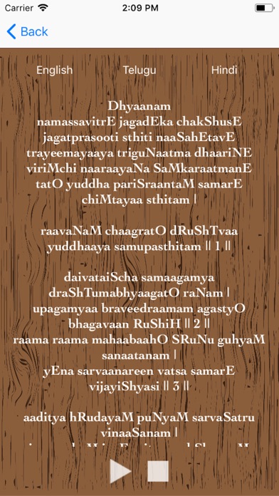 Lord Surya Bhagawan screenshot 4