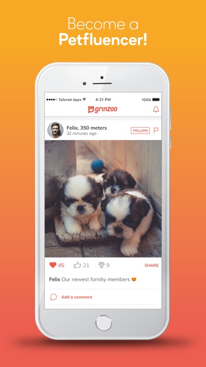 grinzoo - my social pet app