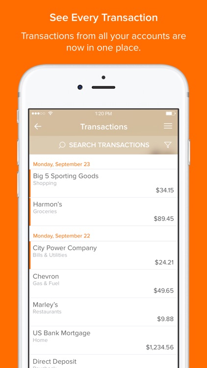 Sunbelt Money Manager screenshot-4
