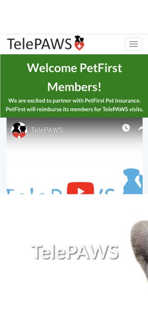 TelePAWS LLC