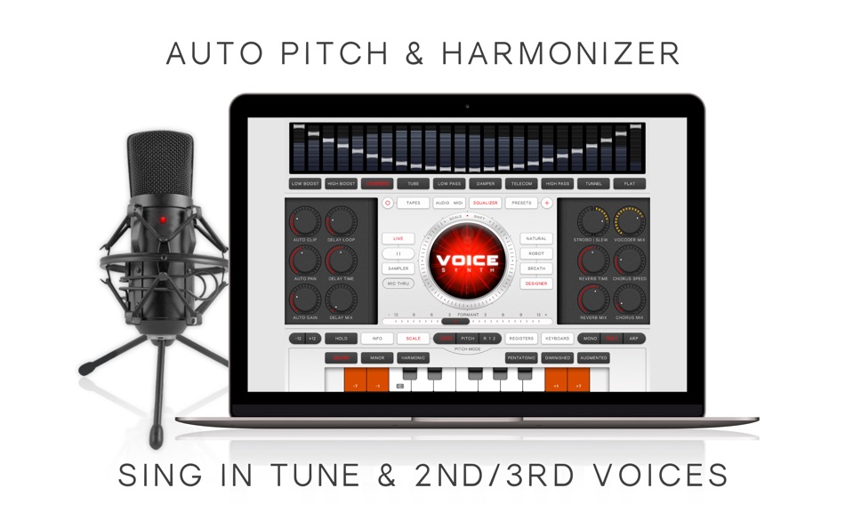 Plasma voice 1.21