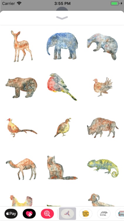 Watercolor Animals and Florals