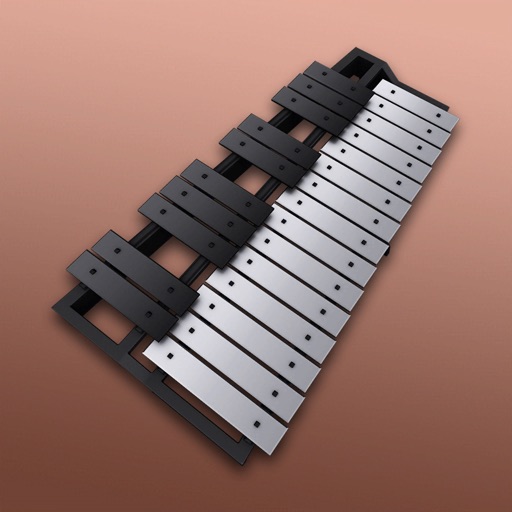 Xylophone real 2024