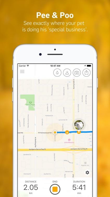 Dog Walk - Track Your Dog's Daily Walks! screenshot-3