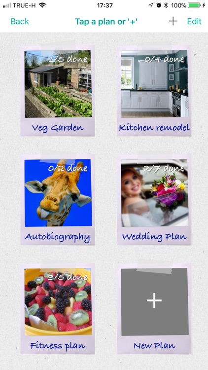Miwaresoft Life Plans screenshot-0