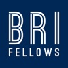 BRIFELLOWS9