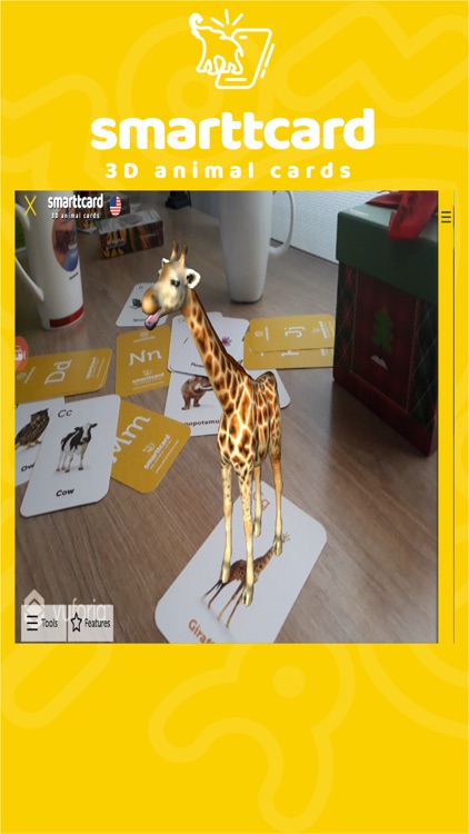 Smarttcard Animals 3D