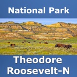 Theodore Roosevelt N. Park 12