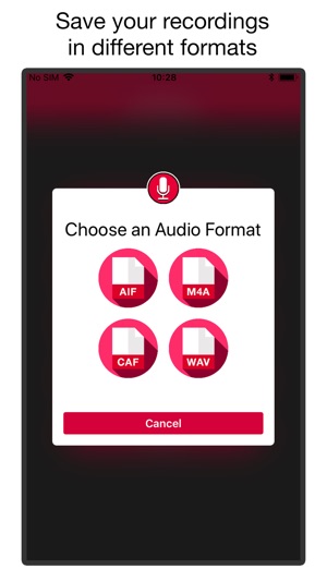 Voice & Audio Recorder PRO(圖3)-速報App