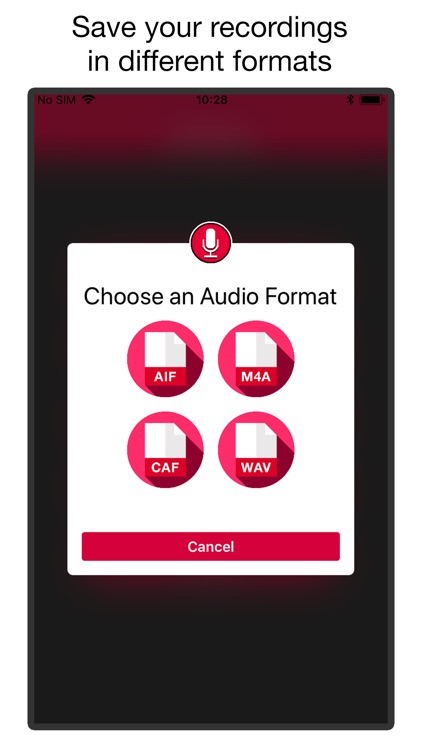 Voice & Audio Recorder PRO