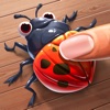 Bug Smasher Fun