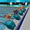 Go pro in swimming in this great sport simulation game