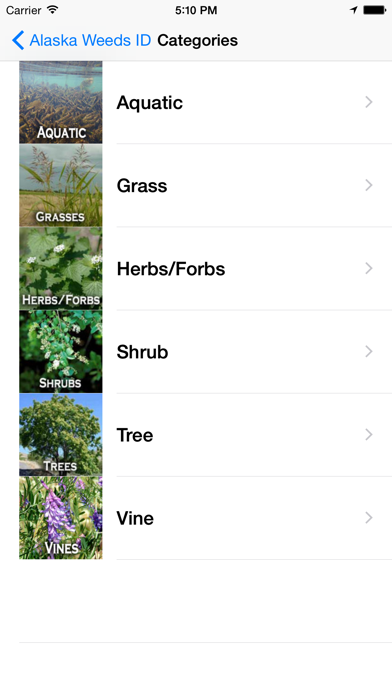 How to cancel & delete Alaska Weed ID from iphone & ipad 3