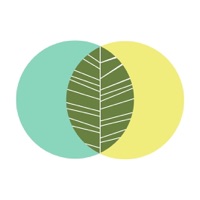 Nature Yoga Sanctuary