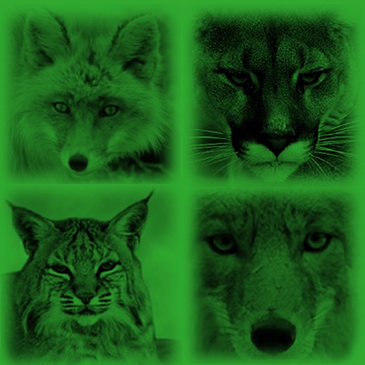 Predator Hunting Calls lite Icon