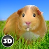 Guinea Pig Simulator Game