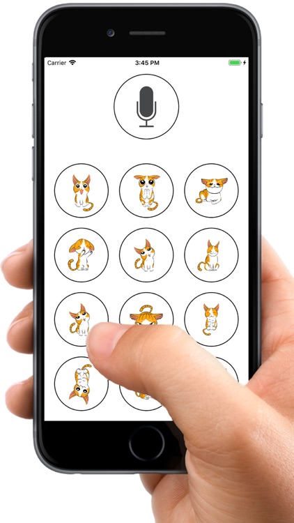 Human to Cat Translator