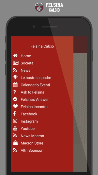 Felsina Calcio screenshot 2