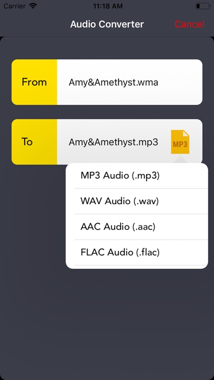 The Audio Converter App