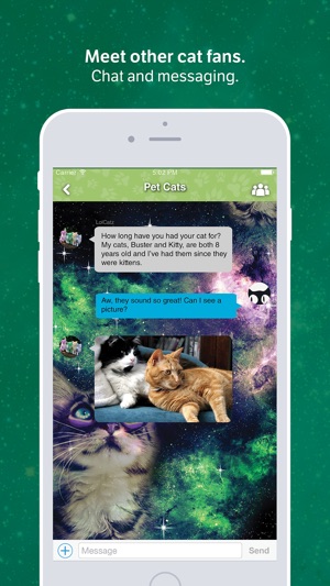 Amino for: Cats and Kittens(圖2)-速報App