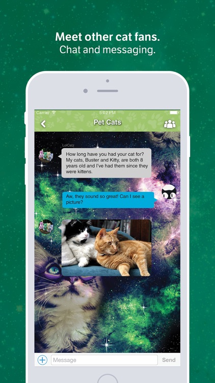 Amino for: Cats and Kittens