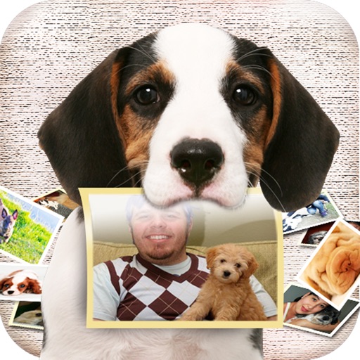 Dog Me iOS App