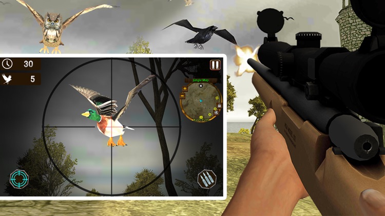 Island Bird Hunting: Shooter Survival