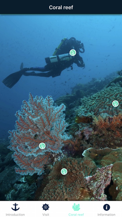 Récifs coralliens screenshot-4