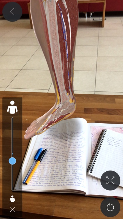 Complete Anatomy for iPhone
