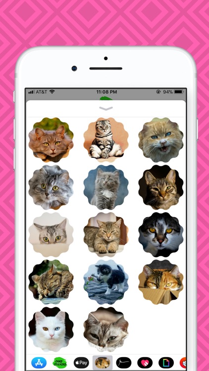 Cat Picture Stickers