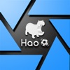 Hao球助手