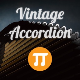 Vintage Accordion