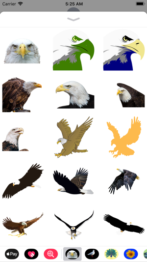 Exquisite Eagle Stickers