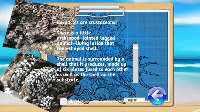 OZEAN EXPLORER-MEERESTIERE.OEP