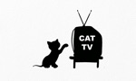 Cat TV - The Ultimate TV for Cats