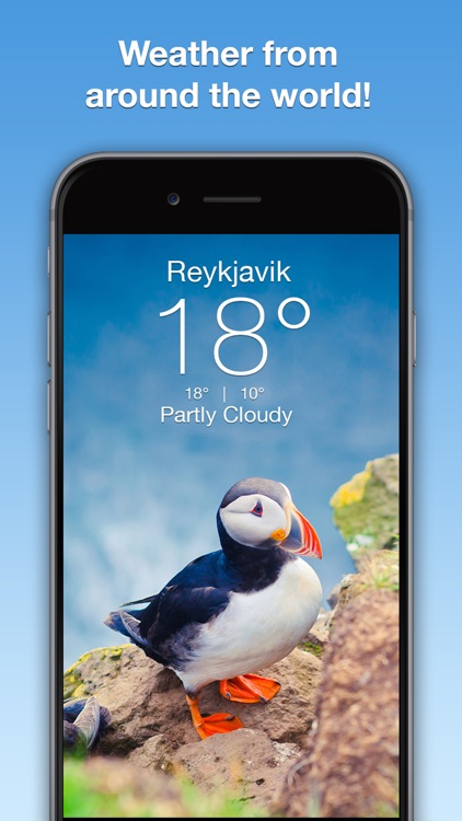 Wildlife Wallpaper Weather screenshot-4