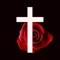 Rosary Audio - Holy R...