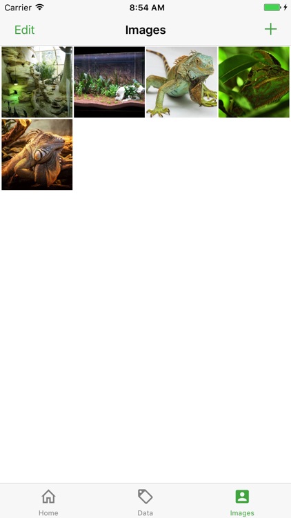 Reptile Manager screenshot-4