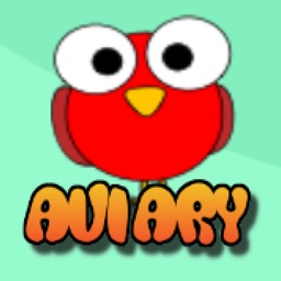 Aviary: Hypercasual Challenge