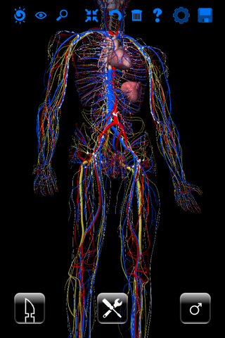 ザイゴット3D人体解剖 screenshot 2