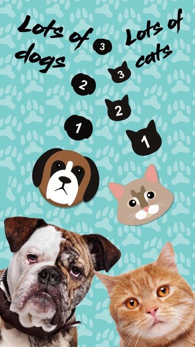 Dogs and cats sounds - Meows and barks screenshot 2