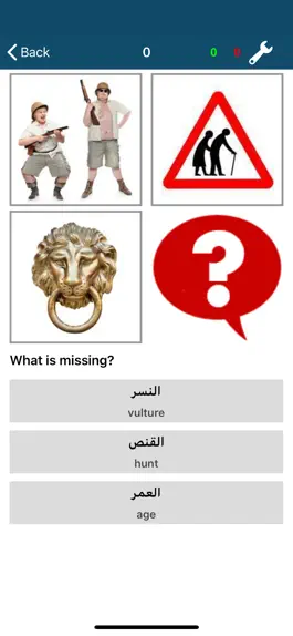 Game screenshot Learn Arabic – 50 languages hack