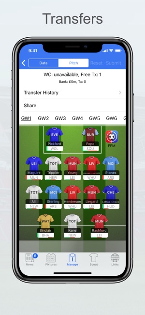 Fantasy Football Manager, Lite